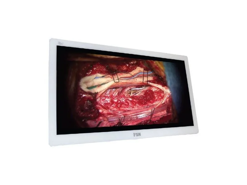 FS-P3102D Монитор 4К (UHD), 31″ (DVI only)